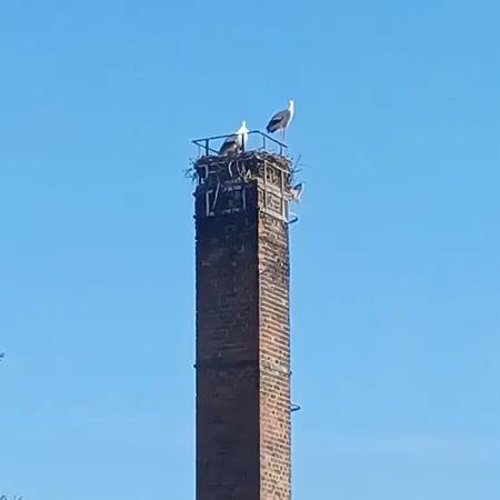 Im Natur- Und Sternenpark Westhavelland Appartement