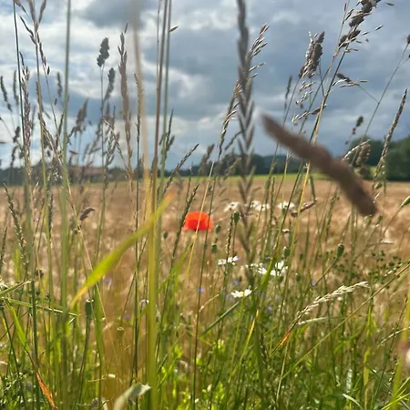 Appartement Im Natur- Und Sternenpark Westhavelland